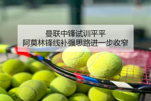 曼联中锋试训平平 阿莫林锋线补强思路进一步收窄